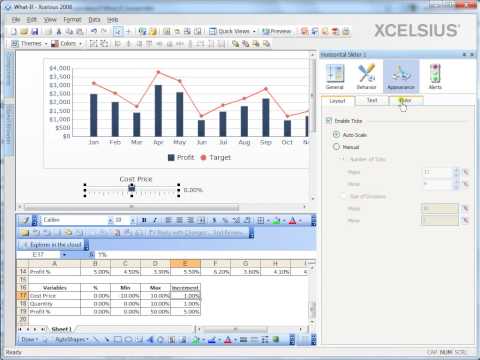 Xcelsius User Interface